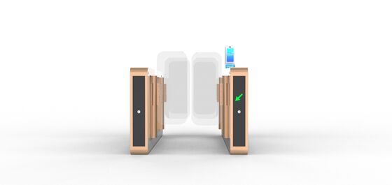 comprare Aeroporto Full Height AB Swing Turnstile Gate Entrata di sicurezza con colore dorato online manufacture