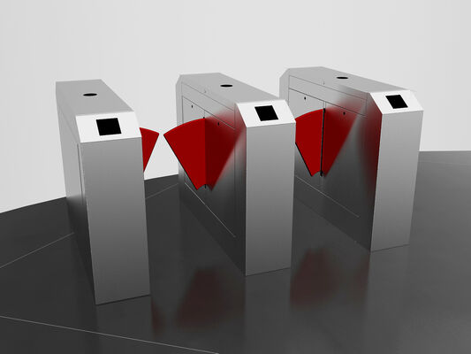 Prezzo buono Access RFID SS316 Flap Barrier Turnstile per la stazione della metropolitana in linea